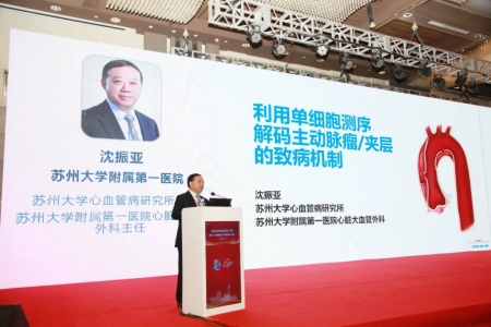 蘇州大學(xué)心血管病研究所所長、蘇州大學(xué)附屬第一醫(yī)院心臟大血管外科主任沈振亞教授作報告
